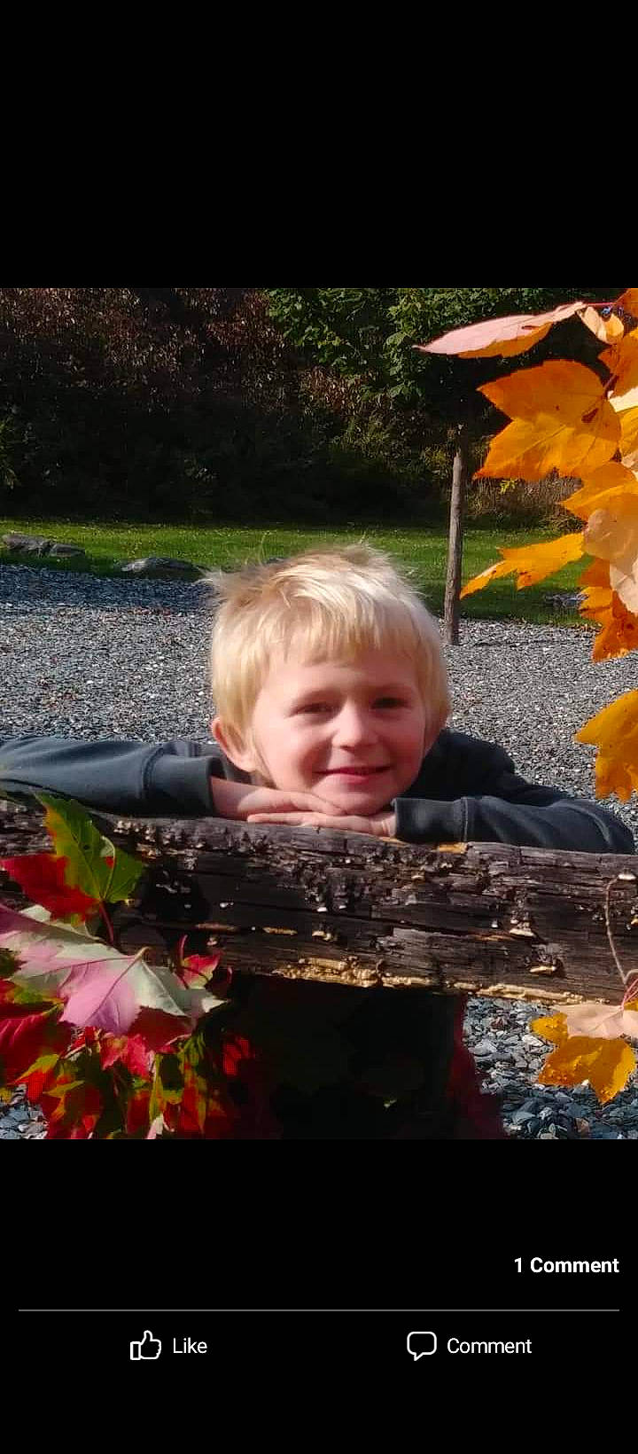 Dominick is registered to the contest to win money with this photo: botany, child, deciduous, fun, garden, grass, happy, joy, landscape, leisure, orange, people_in_nature, person, plant, smile, sunglasses, sunlight, t_shirt, tints_and_shades, toddler