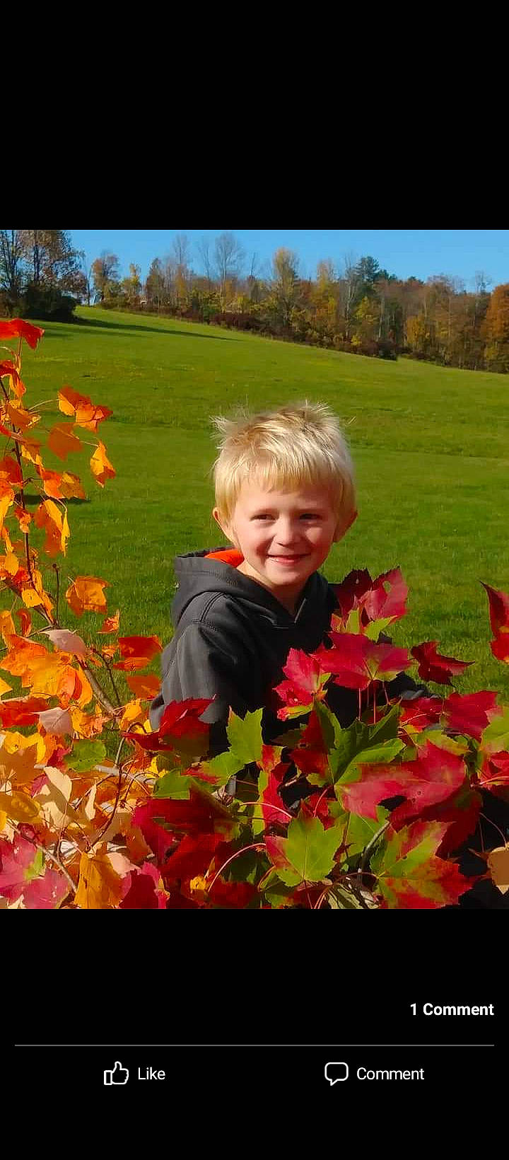 Dominick joined the competition — help win amazing prizes! botany, flower, flowering_plant, grass, grassland, groundcover, happy, joy, landscape, leaf, meadow, natural_environment, natural_landscape, people_in_nature, person, petal, plant, red, sky, smile