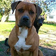 Albert a rejoint le concours — aidez-le/la à gagner de superbes lots !