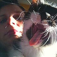 Miss Marpel participe au concours pour gagner de l'argent avec cette photo :