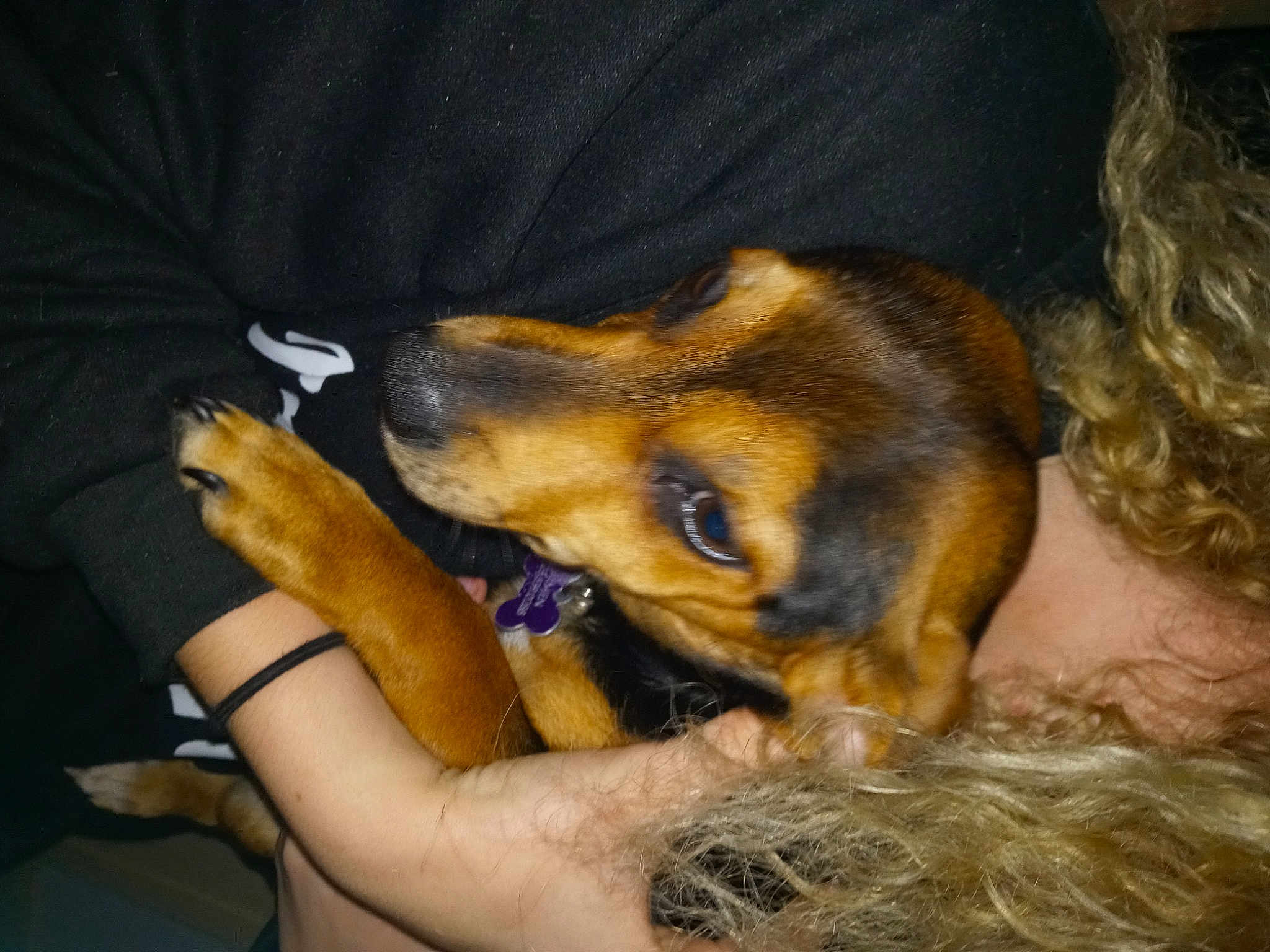 Loki