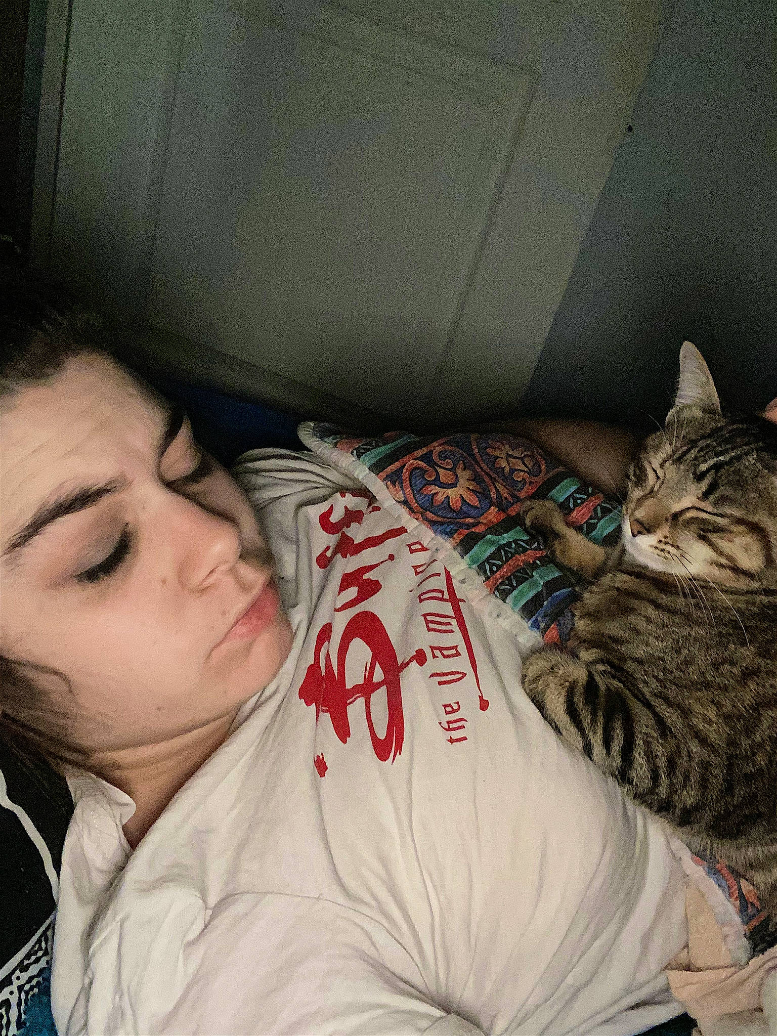 Talia participe au concours pour gagner de l'argent avec cette photo : brown_hair, carnivore, cat, comfort, couch, domestic_short_haired_cat, eye, eyelash, felidae, fur, happy, human_leg, interaction, linens, long_hair, mouth, sitting, small_to_medium_sized_cats, t_shirt, whiskers