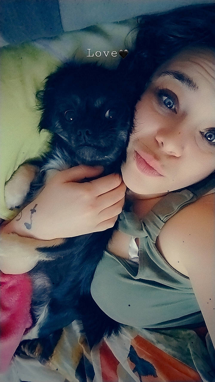 Séden a rejoint le concours — aidez-le/la à gagner de superbes lots ! azure, bangs, black_hair, carnivore, companion_dog, dog_breed, electric_blue, eye, eyelash, fawn, felidae, flash_photography, gesture, hand, happy, iris, long_hair, pink, skin, whiskers