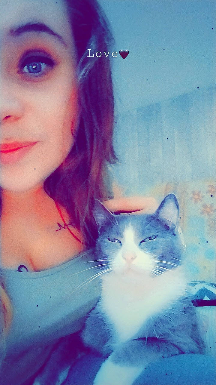 Titi participe au concours pour gagner de l'argent avec cette photo : azure, beauty, blue, brown_hair, carnivore, cat, electric_blue, eye_liner, eyelash, felidae, flash_photography, fur, happy, iris, lip, lipstick, morning, small_to_medium_sized_cats, smile, whiskers