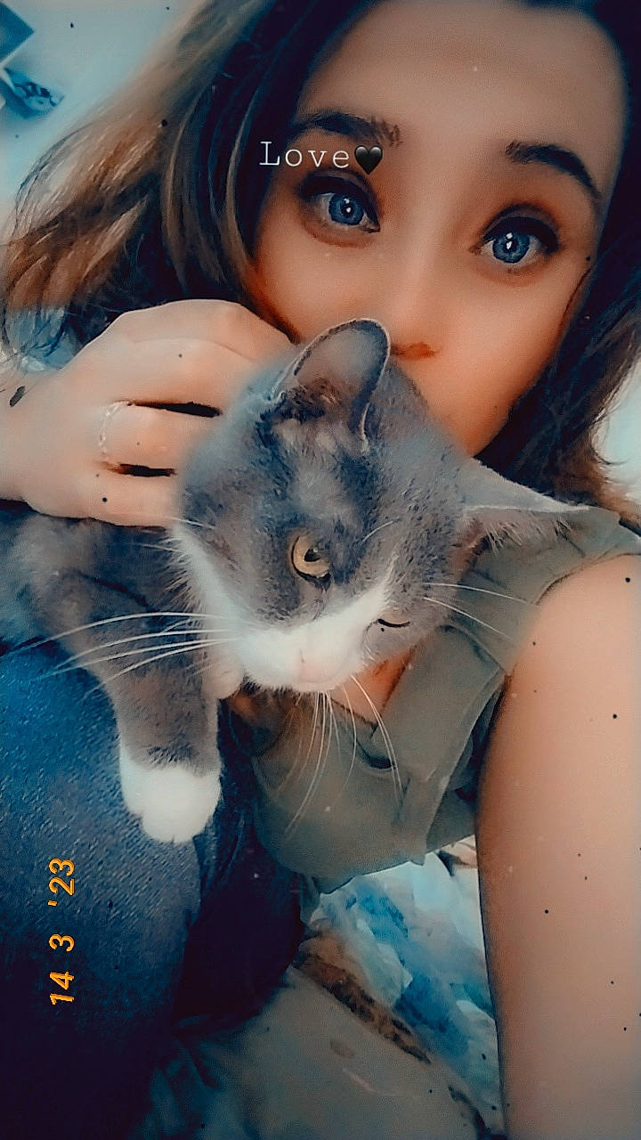 Titi a rejoint le concours — aidez-le/la à gagner de superbes lots ! blue, carnivore, cat, ear, eye, eyebrow, eyelash, fawn, felidae, gesture, hand, happy, iris, jaw, neck, nose, organ, skin, small_to_medium_sized_cats, whiskers