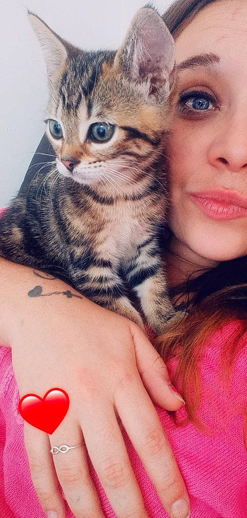 Talie participe au concours pour gagner de l'argent avec cette photo : beauty, carnivore, cat, close_up, eye, eyelash, felidae, fur, gesture, happy, iris, nail, nose, organ, skin, small_to_medium_sized_cats, snout, temporary_tattoo, whiskers, wrist