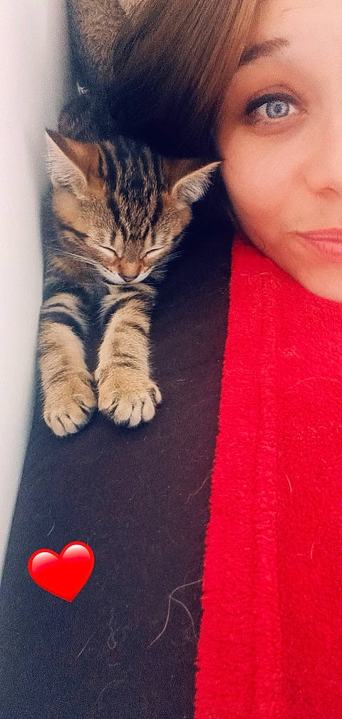 Talie a rejoint le concours — aidez-le/la à gagner de superbes lots ! carnivore, cat, domestic_short_haired_cat, eye, eyelash, felidae, finger, flooring, foot, fur, iris, lap, nail, nose, organ, paw, small_to_medium_sized_cats, tail, textile, whiskers