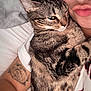 cat, tabby_cat, person, face, tattoo, arm, cuddling, closeup, selfie, white_shirt, bed, pillow, fur, animal, pet, relaxed, indoor, skin, lips, expression