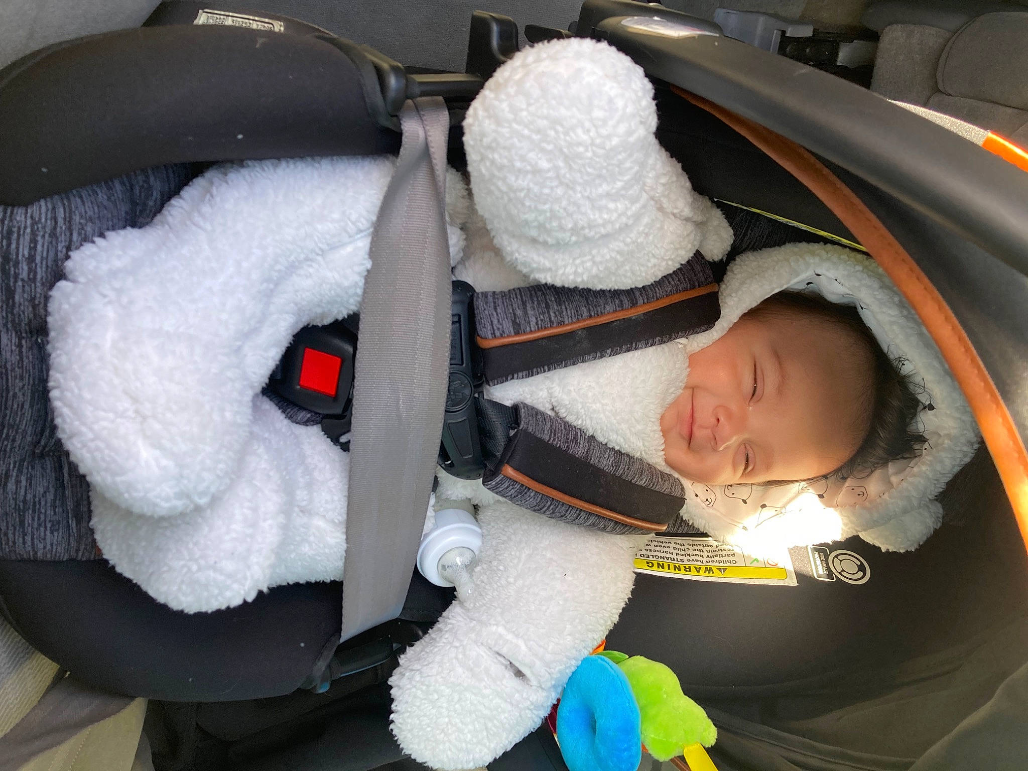 Liam joined the competition — help win amazing prizes! auto_part, baby, baby_carriage, baby_products, cap, car_seat, carmine, child, comfort, freezing, fun, fur, headgear, knit_cap, luxury_vehicle, person, product, toddler, tree, vehicle_door