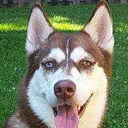 Star is registered to the contest to win money with this photo: