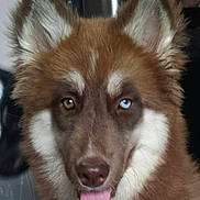 Jersey joined the competition — help win amazing prizes!