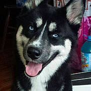 Storm joined the competition — help win amazing prizes!