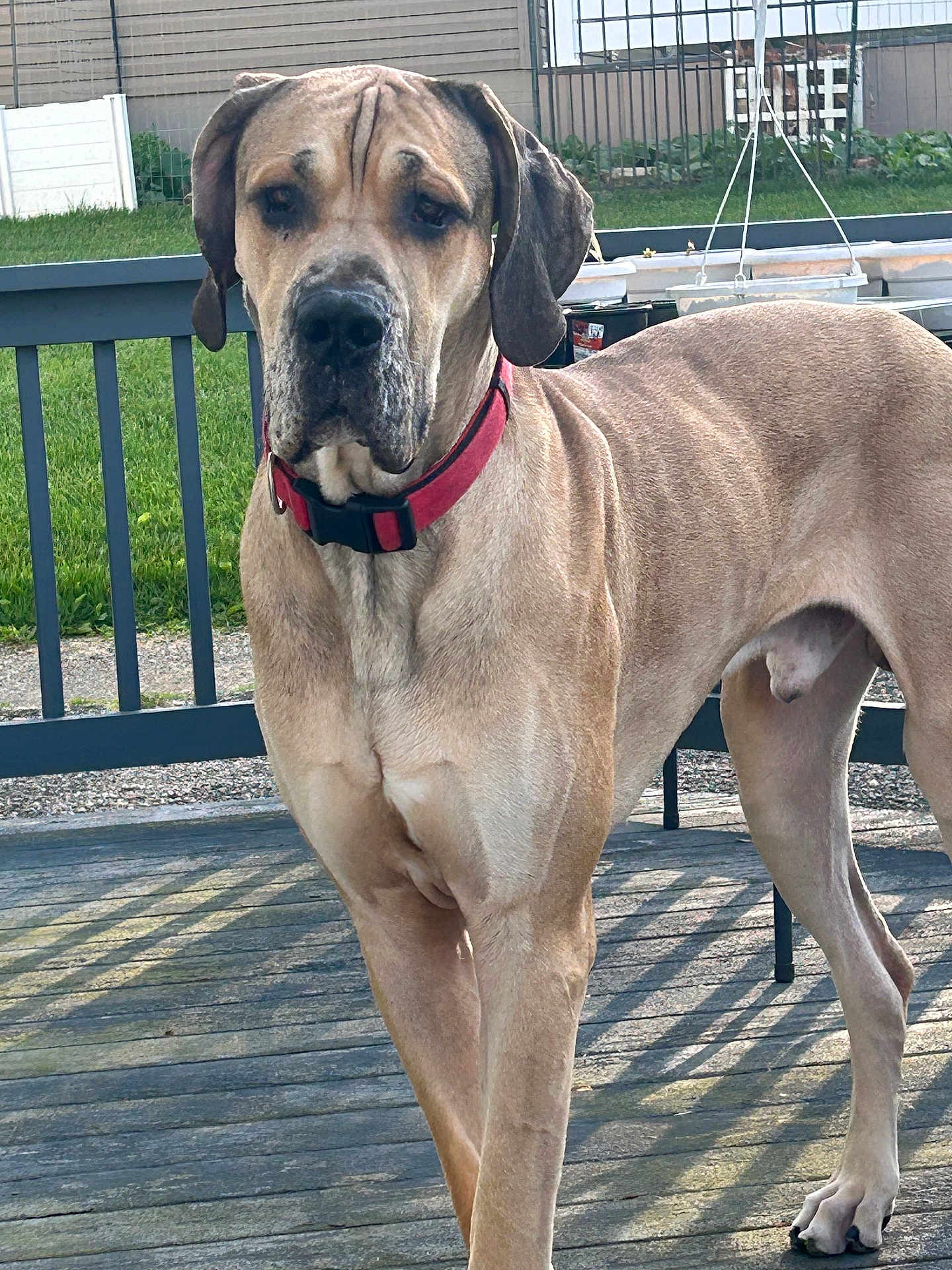 Deuce