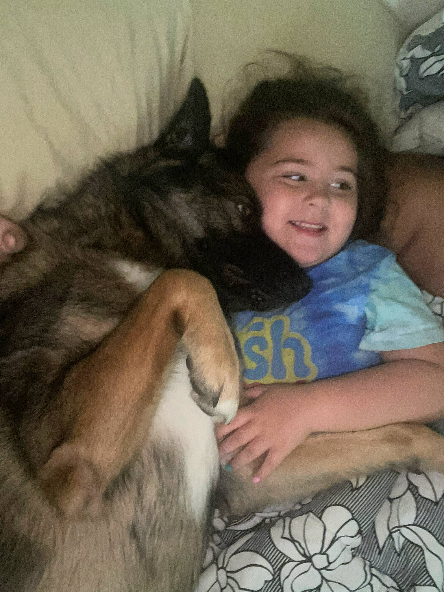 Bear is registered to the contest to win money with this photo: child, comfort, companion_dog, dog_breed, ear, fawn, fur, goat, goats, happy, lap, livestock, sharing, skin, smile, snout, terrestrial_animal, toddler, whiskers, working_animal