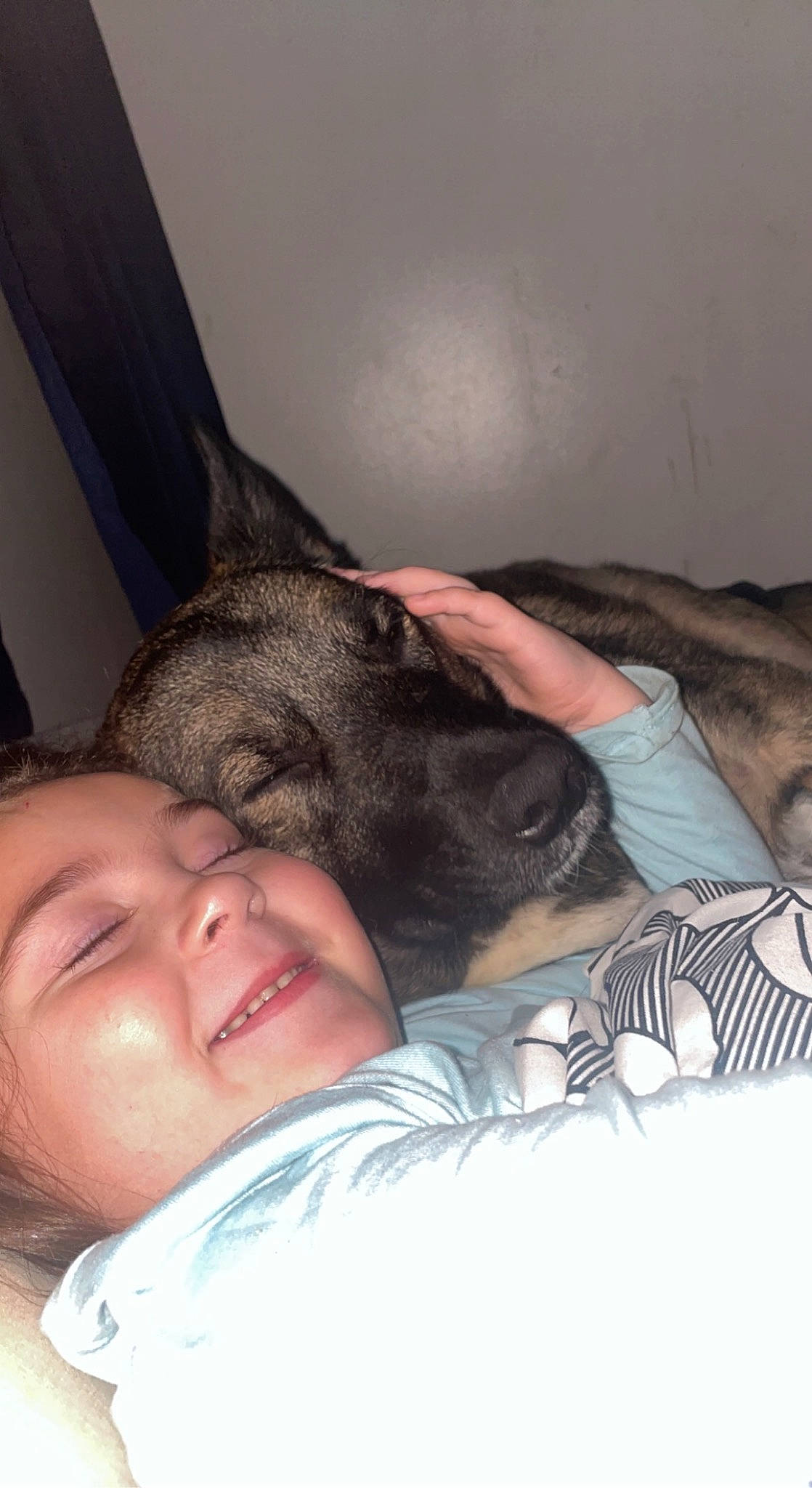 Bear joined the competition — help win amazing prizes! child, comfort, companion_dog, dog, dog_breed, ear, fawn, gesture, hair, happy, human_leg, interaction, jaw, mammal, mouth, nose, skin, smile, snout, whiskers