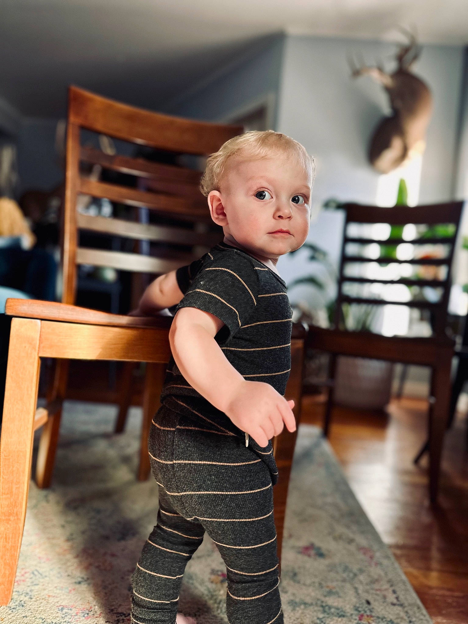 Arrow joined the competition — help win amazing prizes! baby, baby_toddler_clothing, chair, child, comfort, event, fashion_design, flash_photography, floor, flooring, furniture, happy, hardwood, pattern, person, sitting, sleeve, standing, toddler, waist