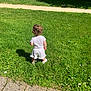 Tiana a rejoint le concours — aidez-le/la à gagner de superbes lots ! toddler, child, grass, park, outdoor, curly_hair, white_shorts, walking, sunny, daytime, sidewalk, trees, bench, greenery, nature, casual_clothing, small_flowers, summer, back_view, person