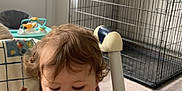 Tiana participe au concours pour gagner de l'argent avec cette photo : toddler, child, baby, high_chair, bottle, bib, curly_hair, indoor, window, dog_crate, helmet, radiator, floor, clothing, person, furniture, playing, young_child, cute, home
