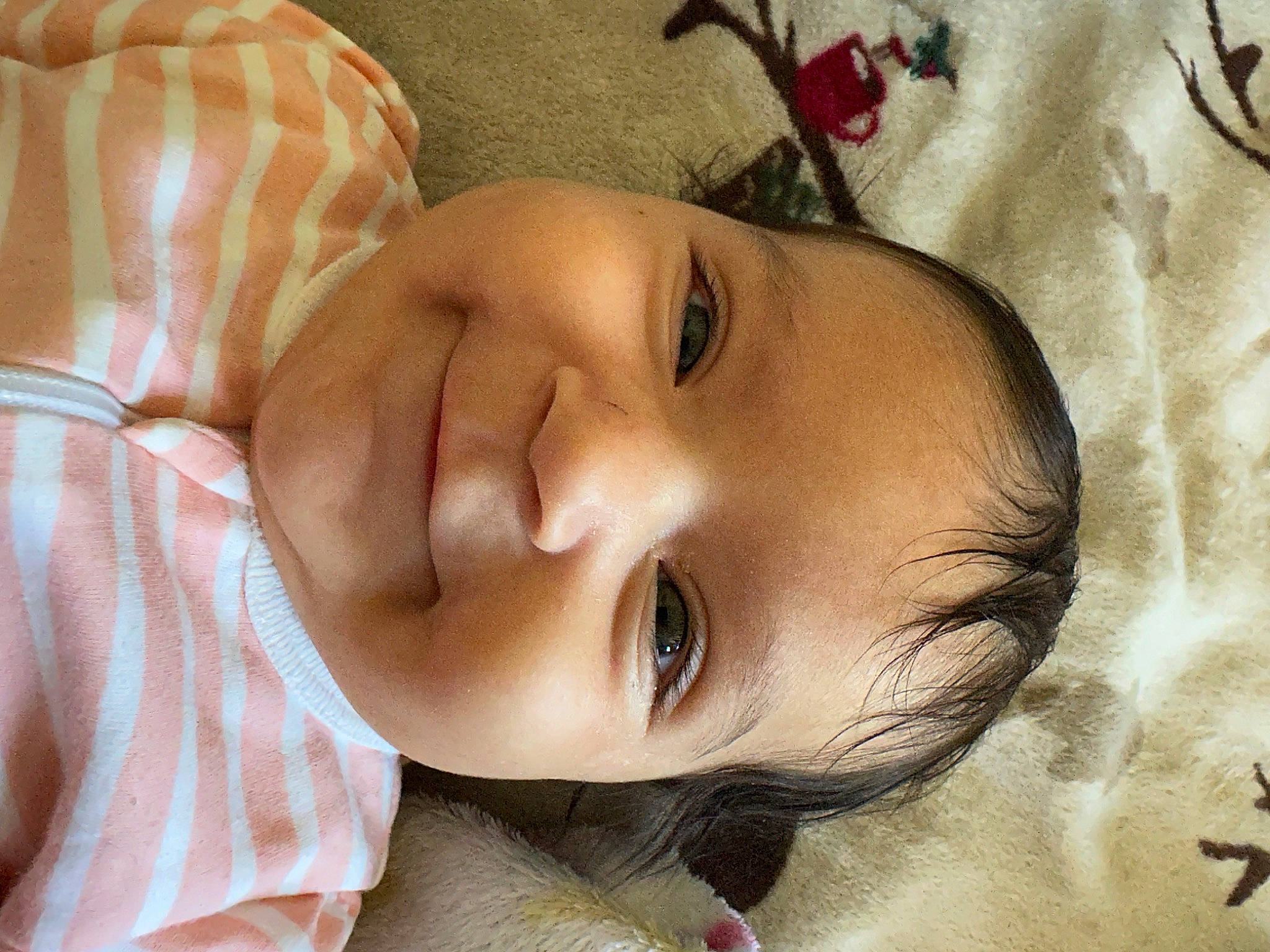 Lilyana joined the competition — help win amazing prizes! baby, beauty, cheek, child, ear, eye, eyebrow, eyelash, forehead, hair, happy, head, iris, joy, lip, mouth, nose, person, skin, sleeve