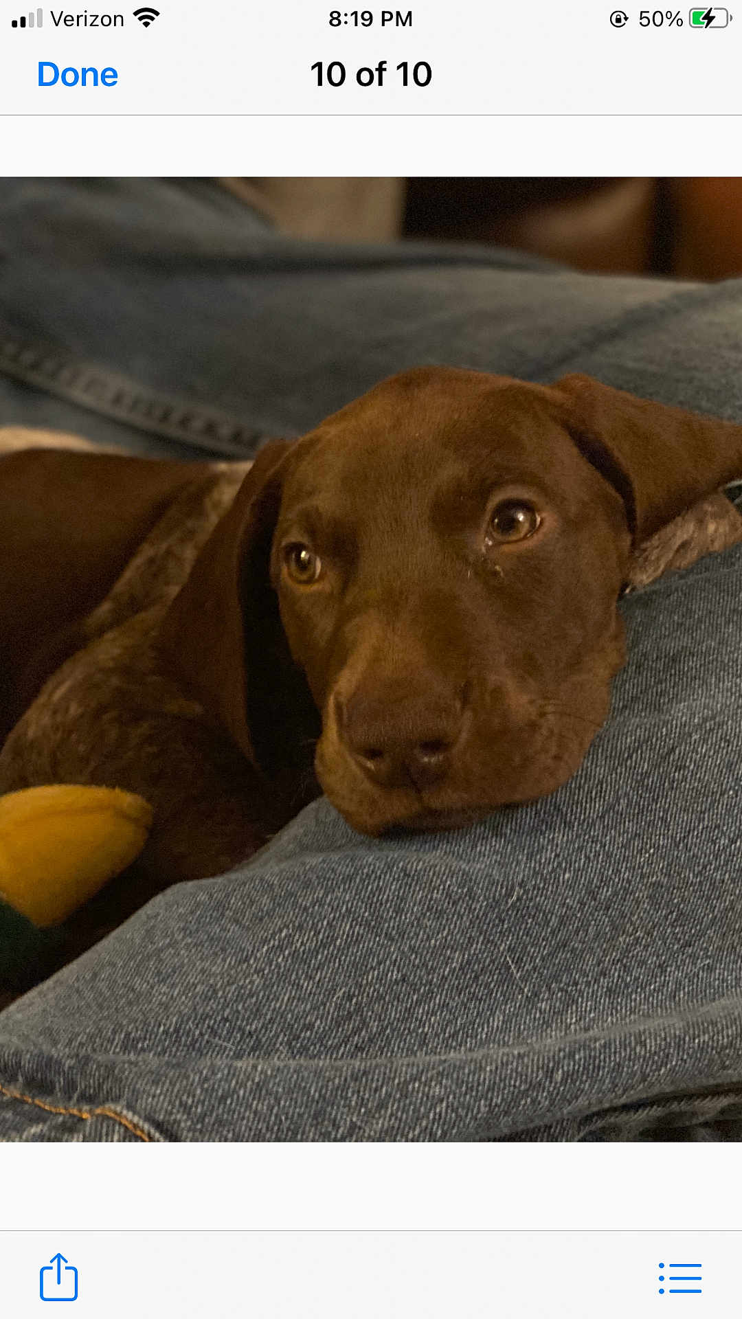 Sadie