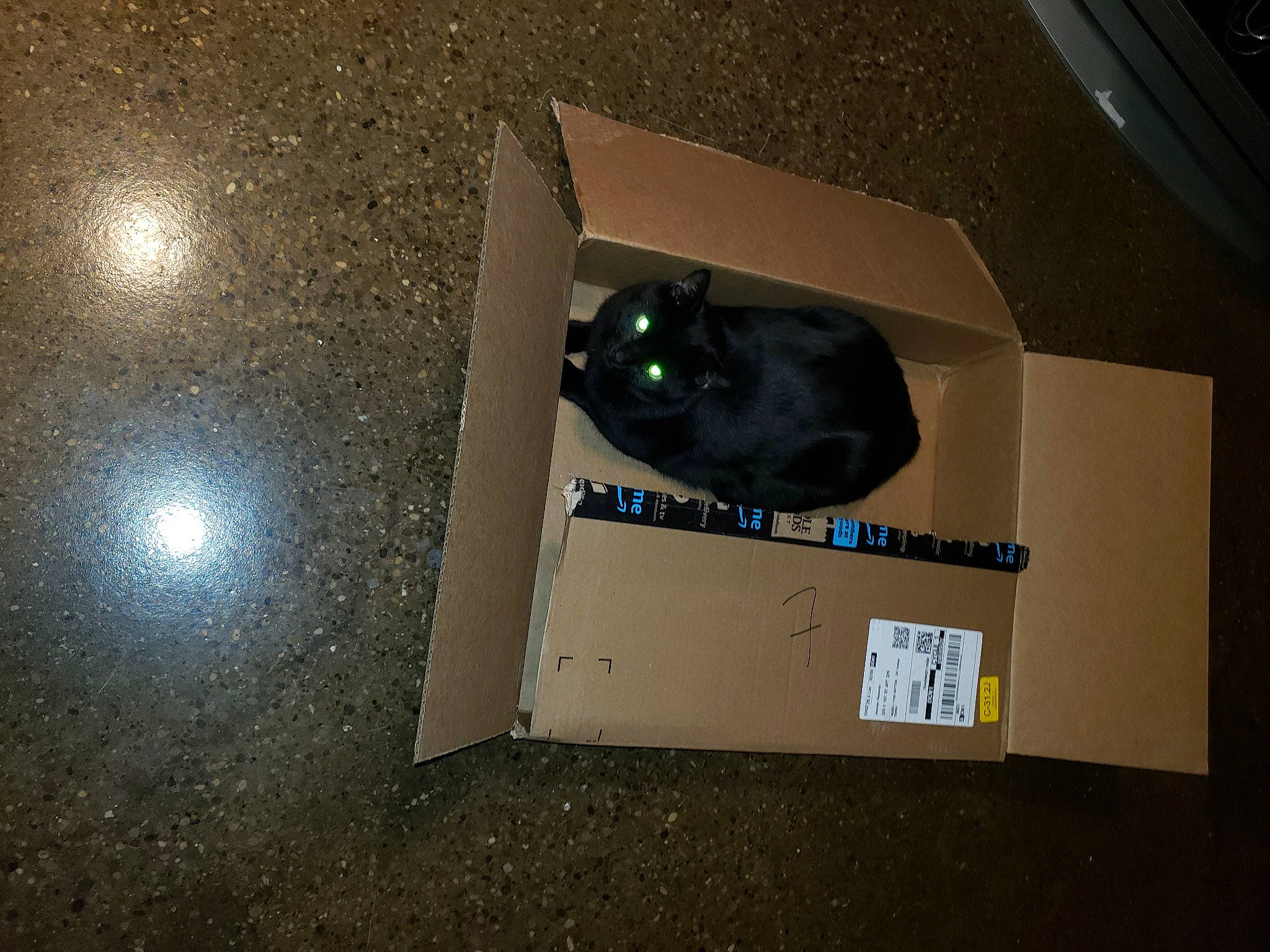 Brutis joined the competition — help win amazing prizes! astronomical_object, astronomy, audio_equipment, box, carton, circle, font, galaxy, packaging_and_labeling, packing_materials, room, science, space, star, universe