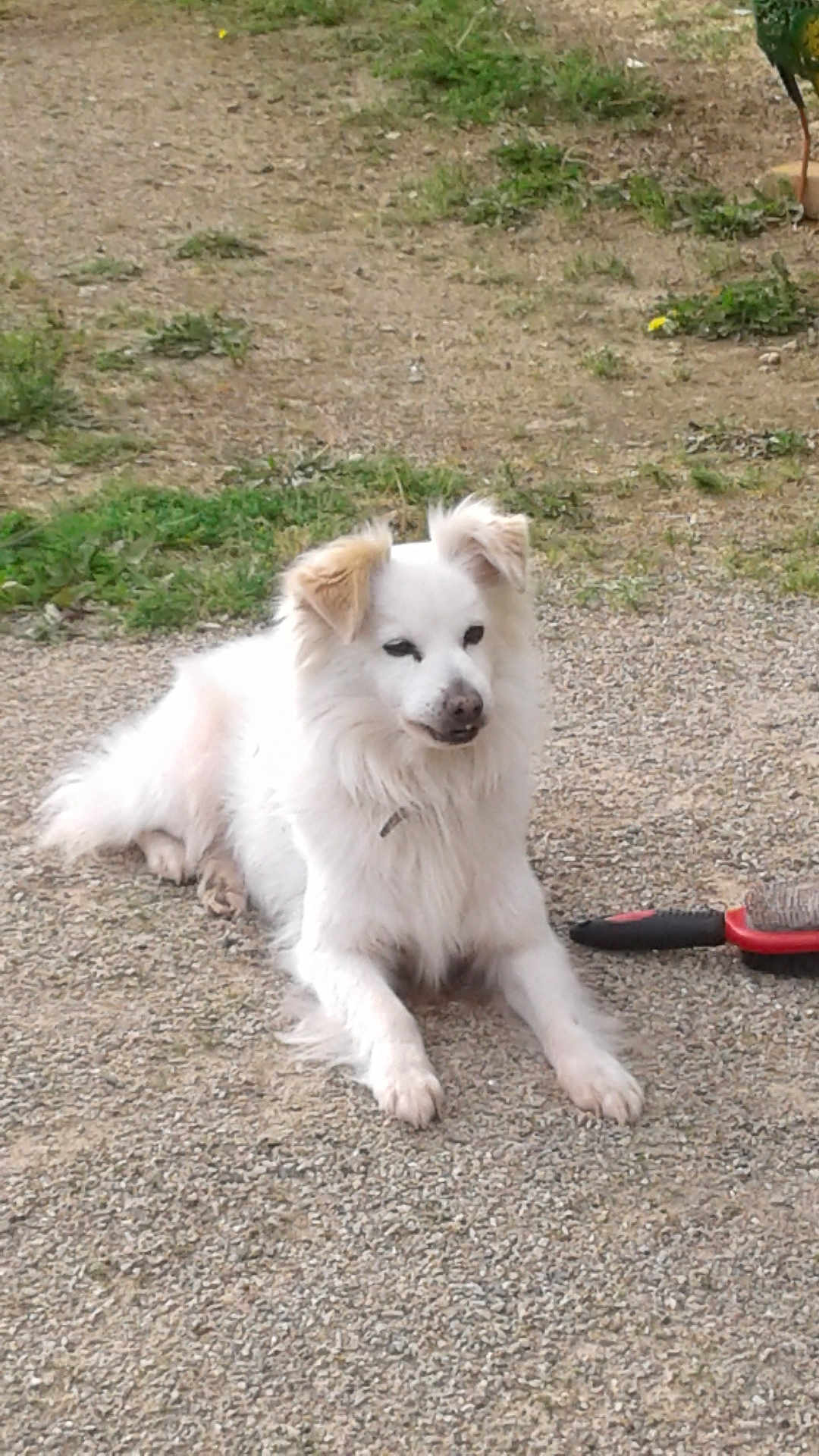 Coco