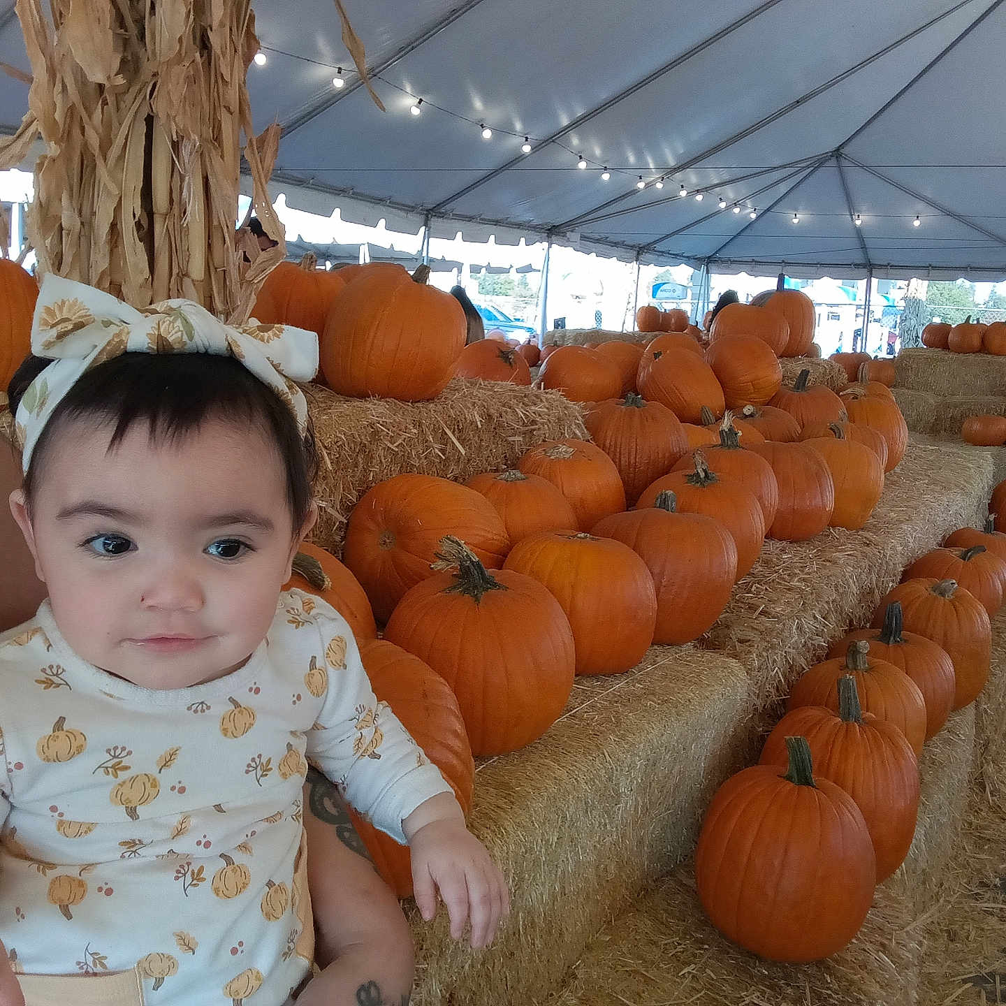 Katalayiah is registered to the contest to win money with this photo: autumn, baby, child, clothing, cute, decor, event, face, festival, harvest, hay, headband, holding, outdoor, person, pumpkin, seasonal, smiling, string_lights, tent