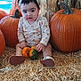 toddler, child, pumpkin, straw, fall, autumn, gourd, headband, outdoor, baby_clothing, cute, seasonal, harvest, orange, sitting, small_gourd, expression, holiday, decor, young_child