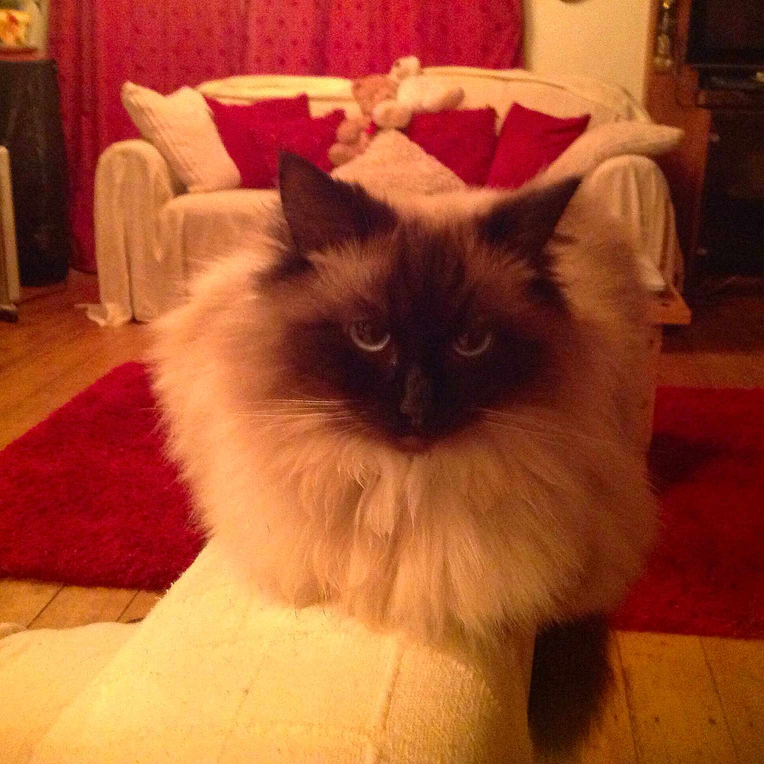 Vera is registered to the contest to win money with this photo: