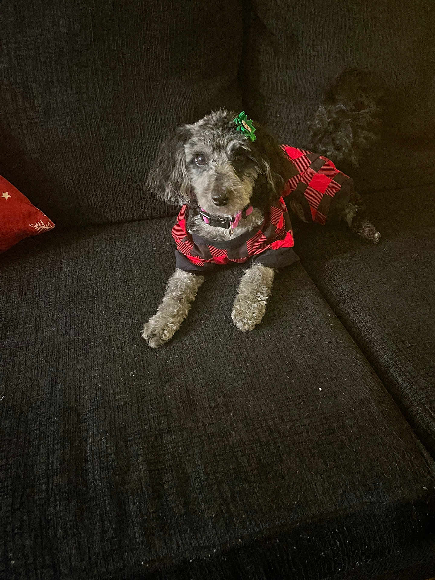 Lola