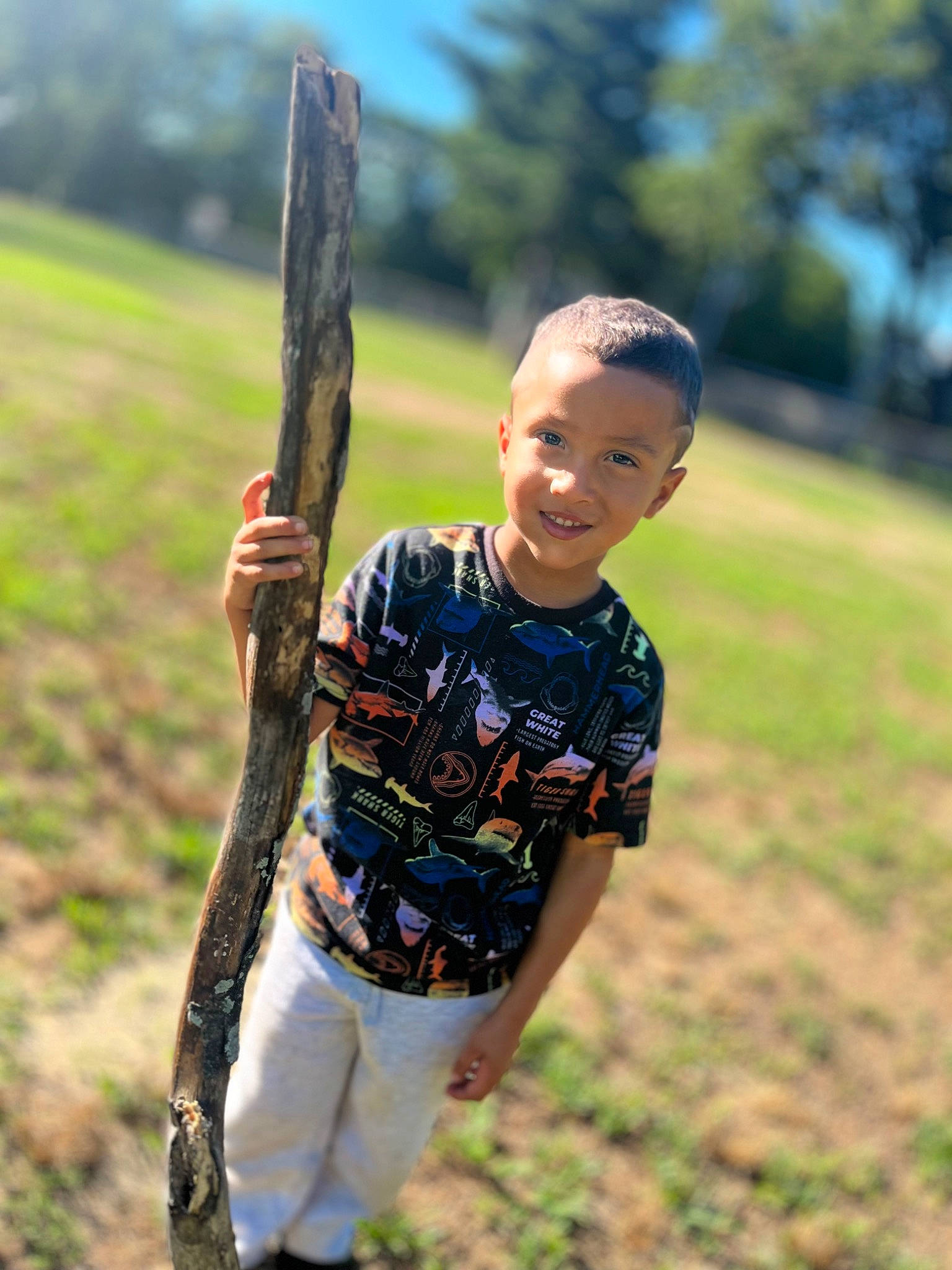 David is registered to the contest to win money with this photo: field, fun, grass, grassland, happy, joy, landscape, leisure, outdoor_play_equipment, people_in_nature, person, plant, prairie, recreation, sky, smile, soil, swing, t_shirt, toddler