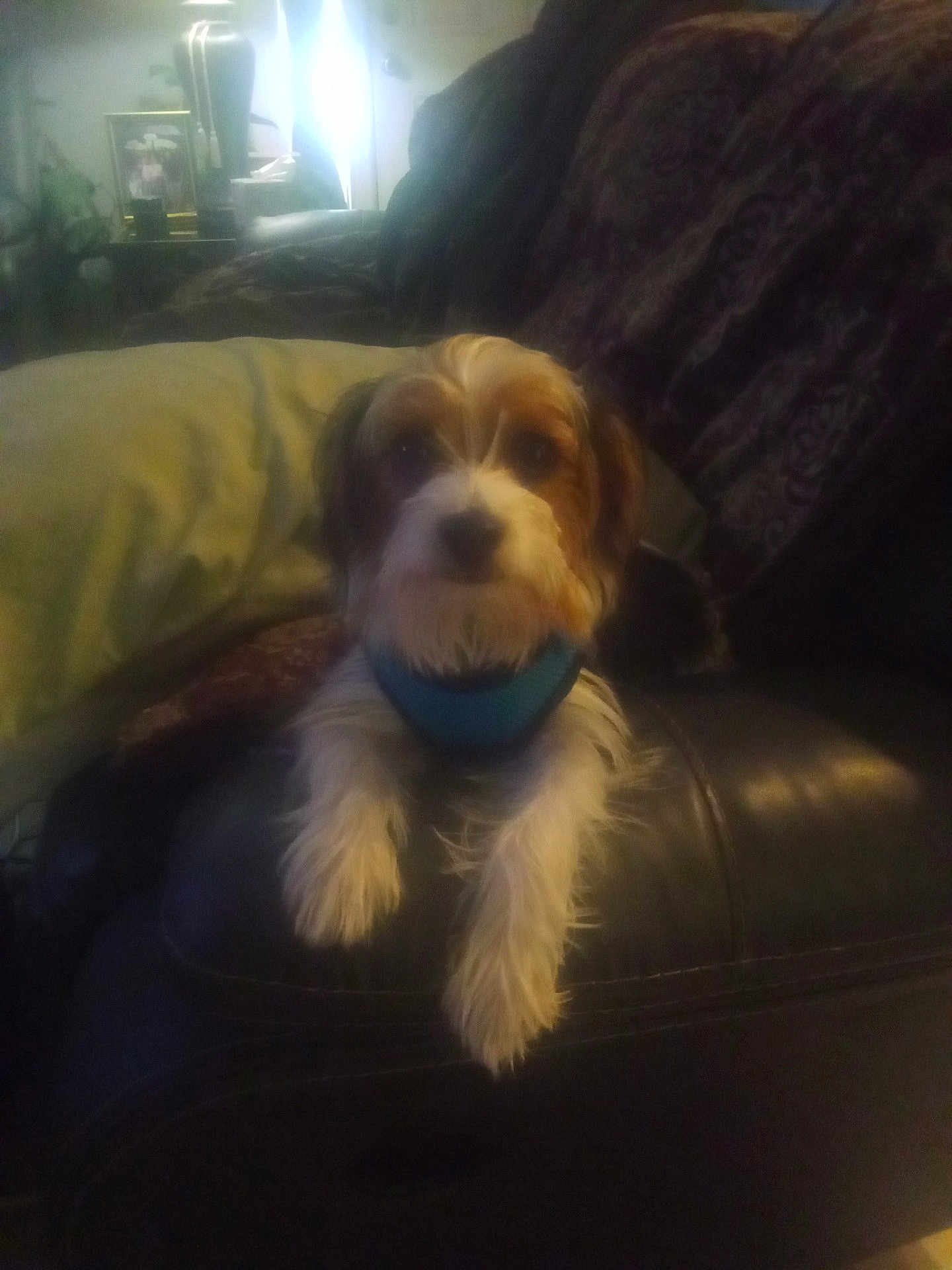 Max