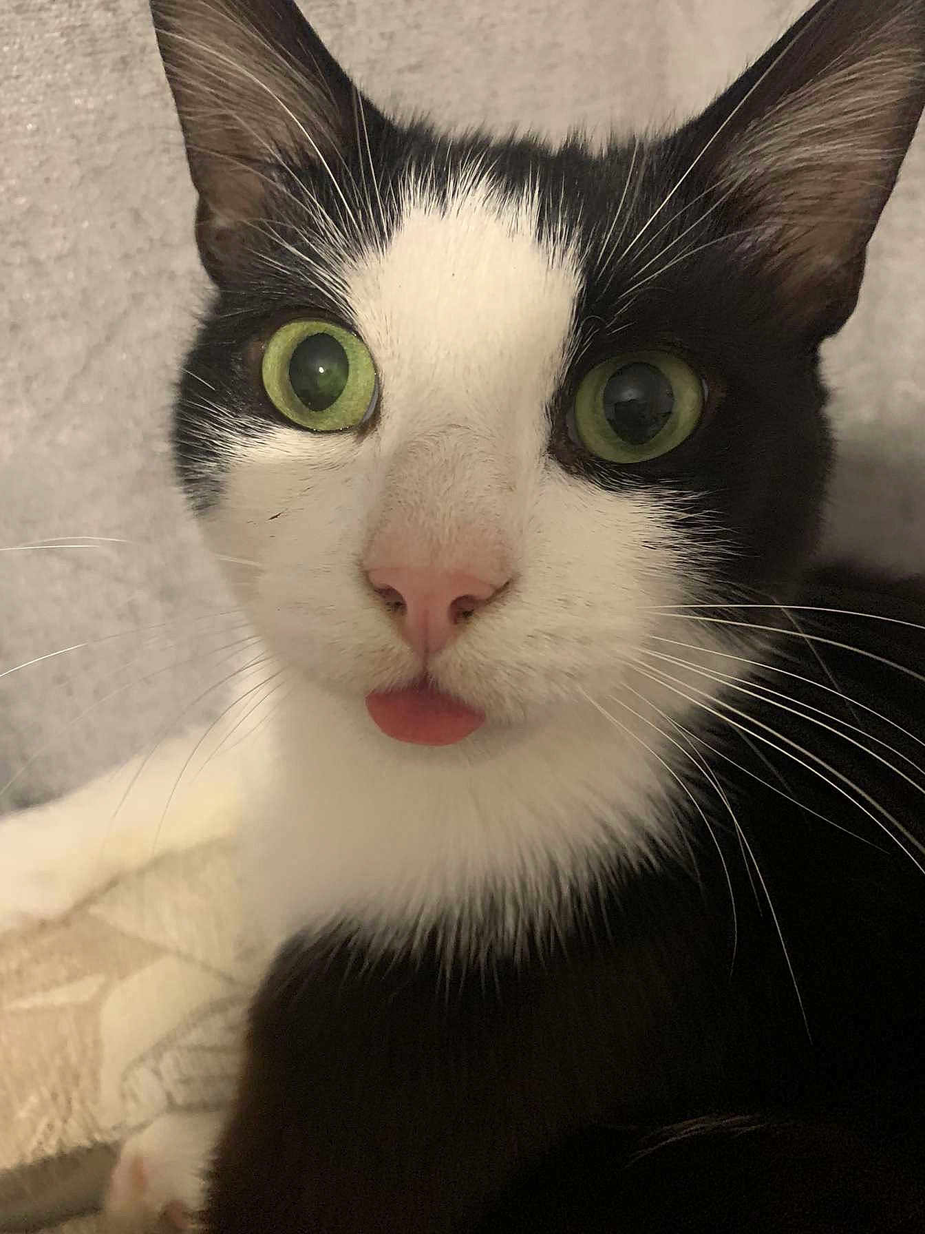 Billy