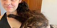 Rags joined the competition — help win amazing prizes! person, cat, black_cat, indoor, smile, affection, pet, fur, face, hand, holding, close_up, cozy, cute, animal, companion, love, friendly, domestic, relaxed