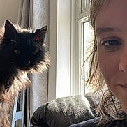 Rags joined the competition — help win amazing prizes! cat, person, smile, indoor, window, curtain, leather_couch, sunlight, black_cat, furry, pet, relaxed, portrait, home, cozy, furniture, daylight, closeup, animal, happy