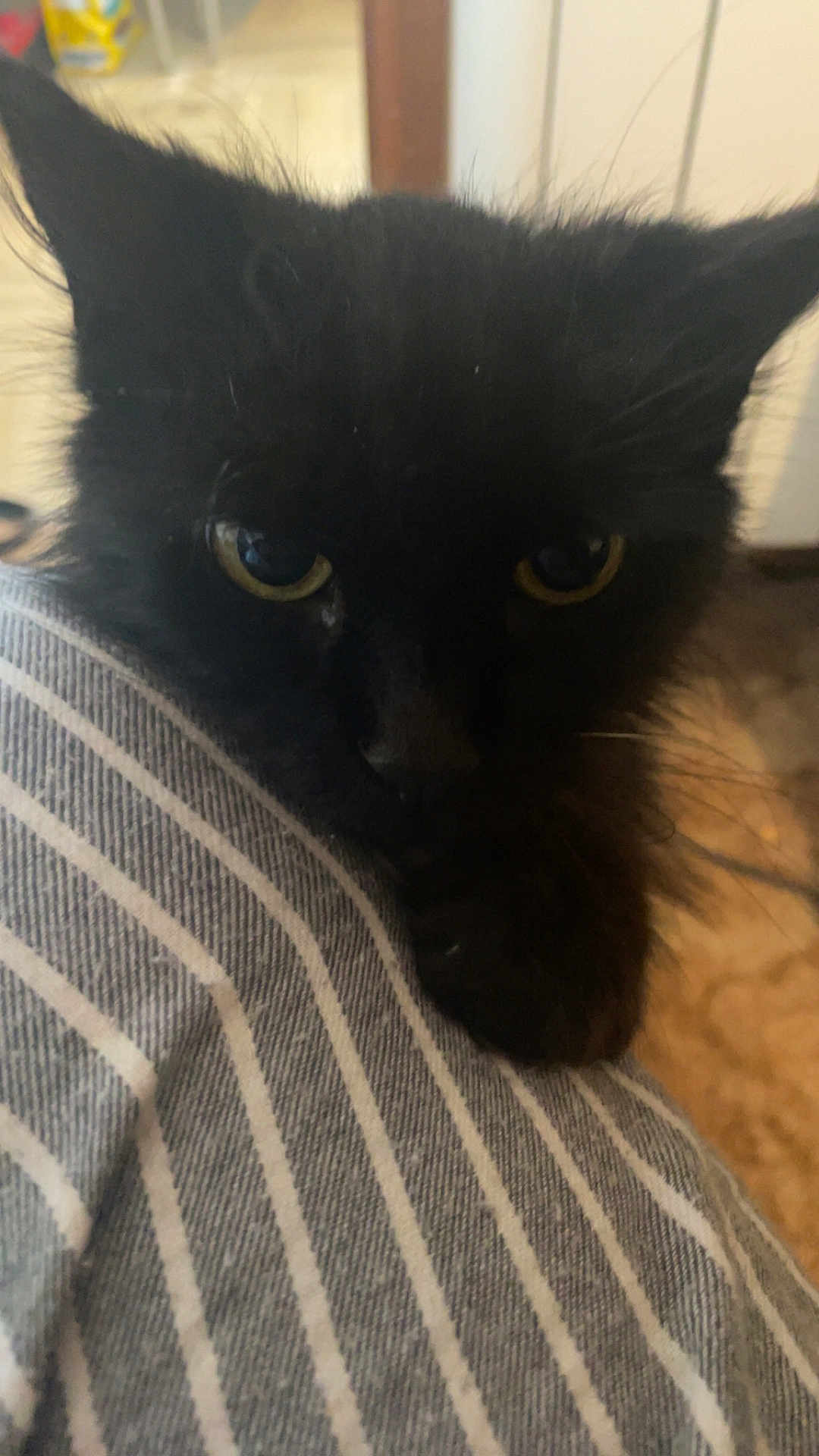Rags