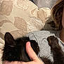 black_cat, kitten, person, hand, paw, gray_shirt, pillow, leaf_pattern, couch, indoor, closeup, pet, animal, furry, relaxing, cozy, human, tattoo, comfort, soft