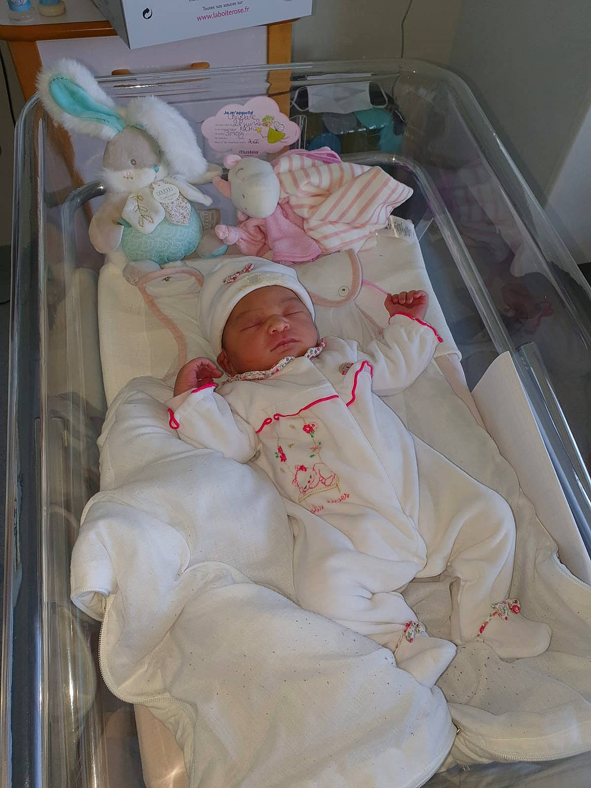 Crystale a rejoint le concours — aidez-le/la à gagner de superbes lots ! baby, baby_products, birth, child, headwear, infant_bed, person, product