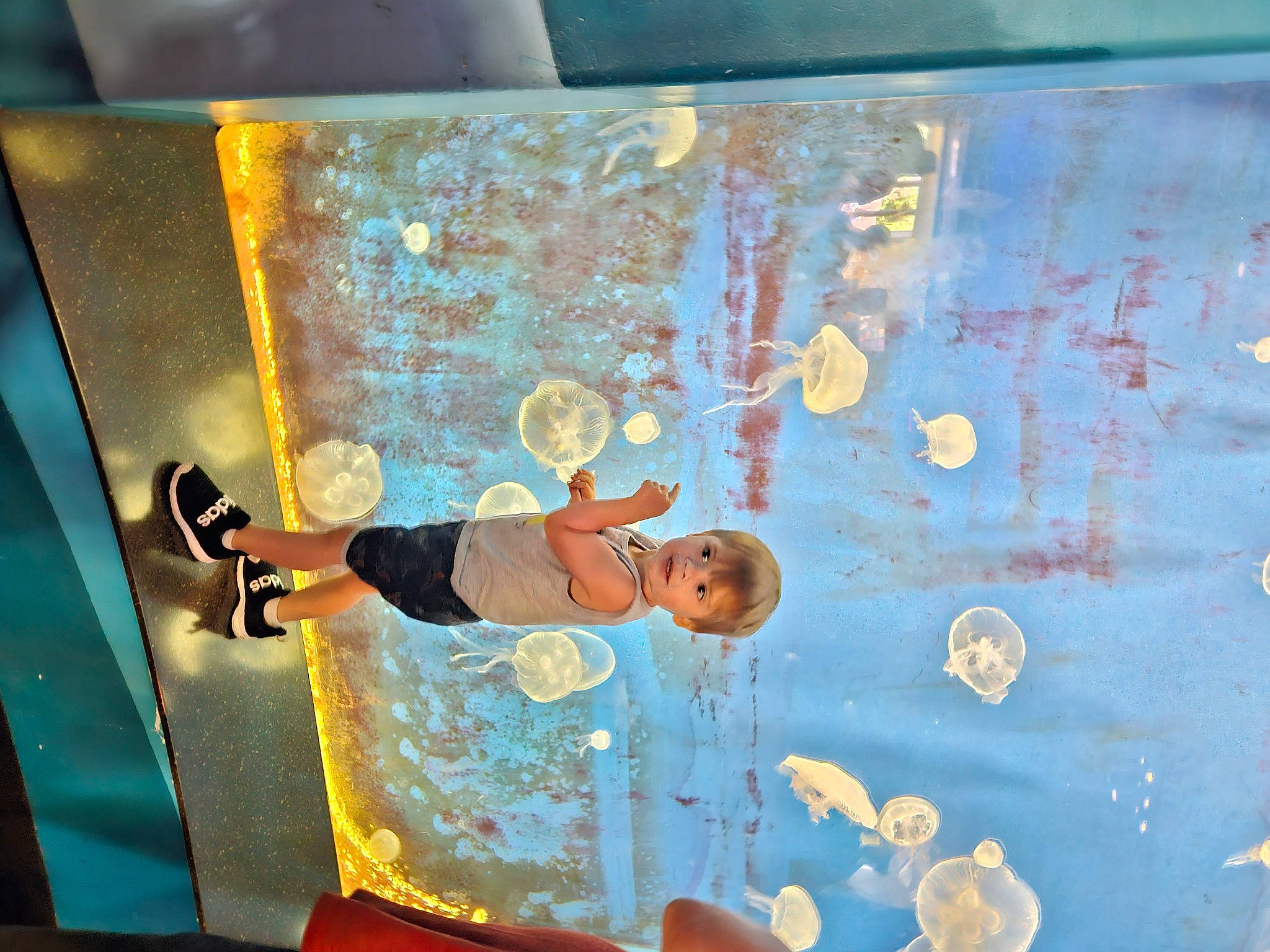 Jason is registered to the contest to win money with this photo: art, child, climbing, climbing_hold, electric_blue, fun, games, glass, leisure, organism, paint, person, play, recreation, room, space, visual_arts, wall, wood, world