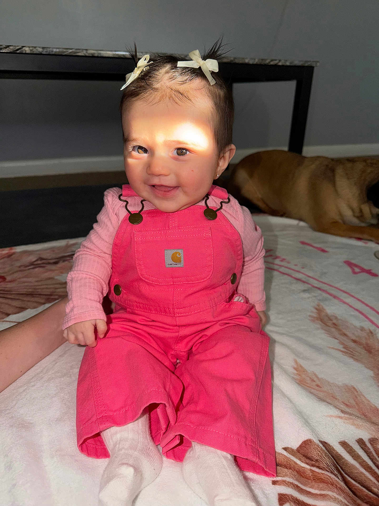 Ivory joined the competition — help win amazing prizes! baby, child, pink_overalls, smiling, indoor, blanket, dog, hair_bows, sitting, cute, happy, person, floor, pattern, clothing, toddler, face, footwear, hand, pet