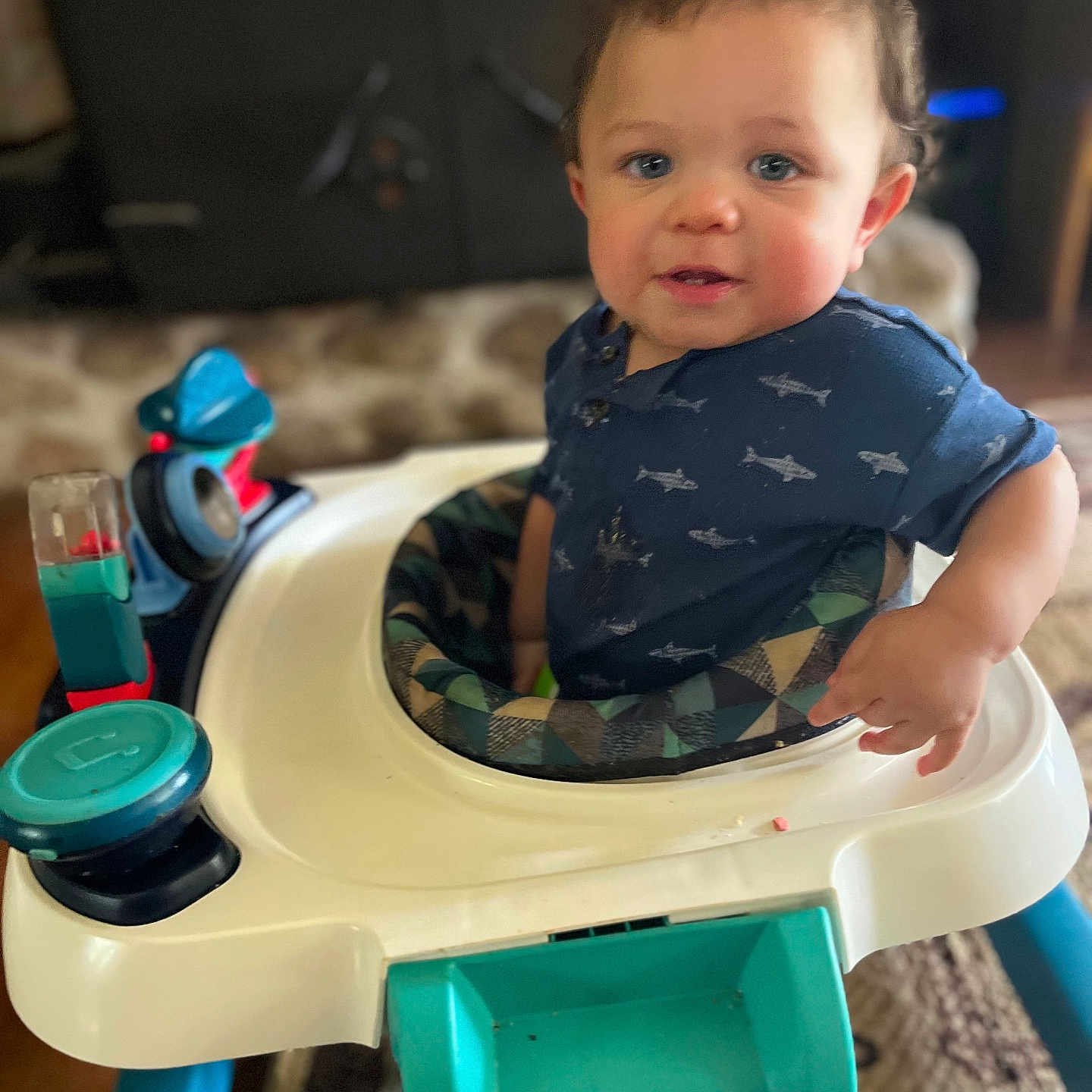 Jaylin is registered to the contest to win money with this photo: baby, child, toddler, smiling, portrait, indoor, walker, baby_walker, toy, colorful_toy, blue_shirt, shark_pattern, seated, face, brown_hair, home, living_room, carpet, furniture, happy