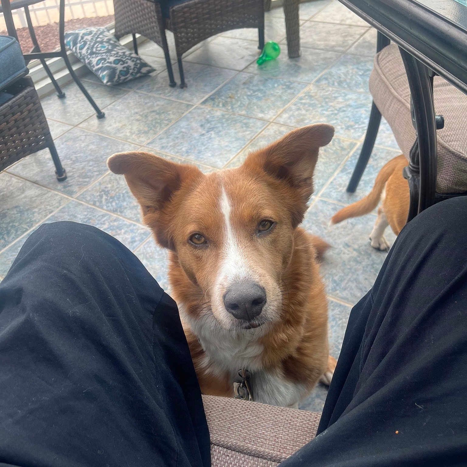 Yukon