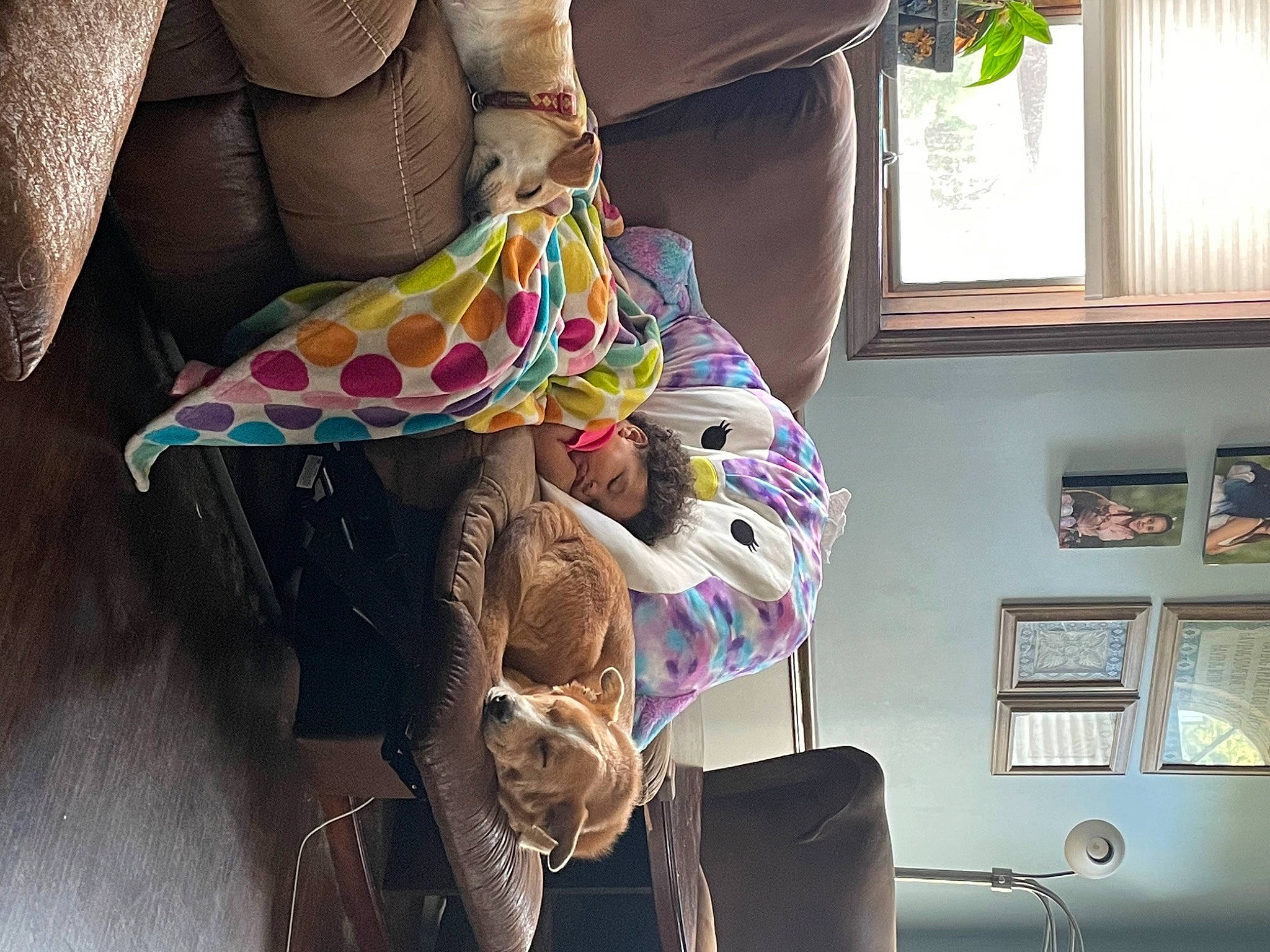 Yukon is registered to the contest to win money with this photo: art, craft, creative_arts, curtain, fashion_accessory, interior_design, linens, magenta, paper, paper_product, pattern, plaid, room, tartan, textile, tints_and_shades, visual_arts, window, wood