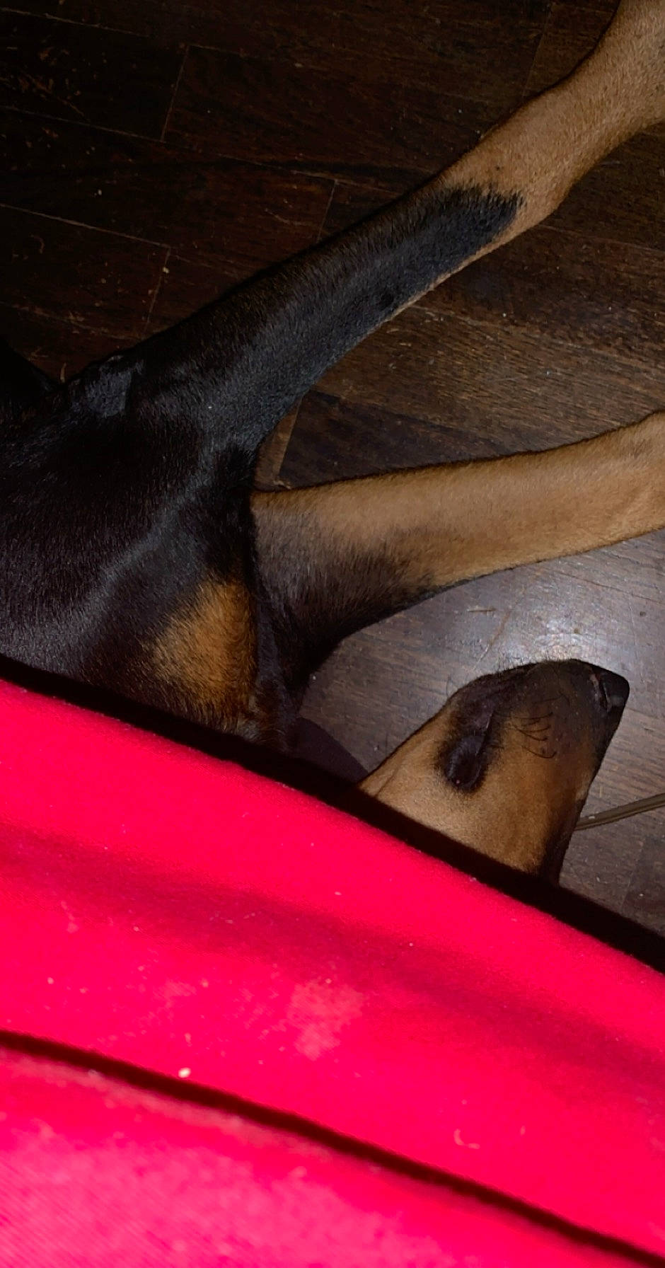 Dixie E. is registered to the contest to win money with this photo: