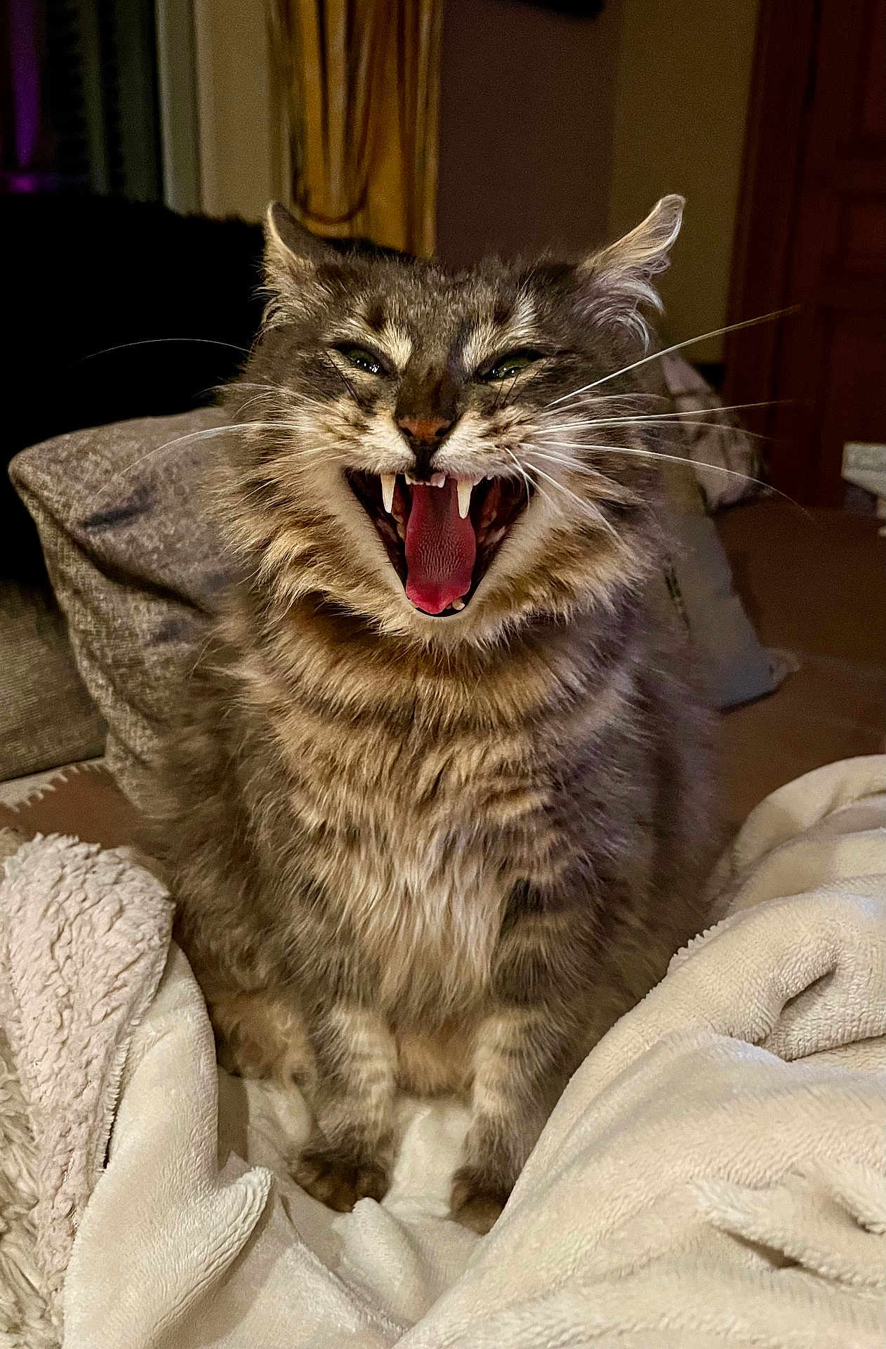 Ramses