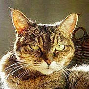 Lily is registered to the contest to win money with this photo: