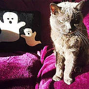 Baxter joined the competition — help win amazing prizes!