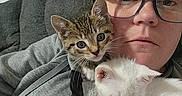 Snowflake is registered to the contest to win money with this photo: person, glasses, kitten, tabby_cat, white_cat, couch, indoor, casual, portrait, pet, animal, cute, cozy, relaxed, young_adult, holding, feline, home, comfort, snuggle