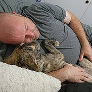 Saint Chief is registered to the contest to win money with this photo: man, dog, sleeping, bed, pillow, gray_shirt, indoor, resting, pet, human, cuddling, relaxation, blanket, furry, casual, comfort, home, nap, friendship, calm