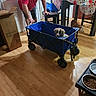 man, dog, puppy, wagon, indoor, kitchen, wooden_floor, table, chair, food_bowl, pet_food, box, bottle, tablecloth, casual, smile, pet, home, floor, container